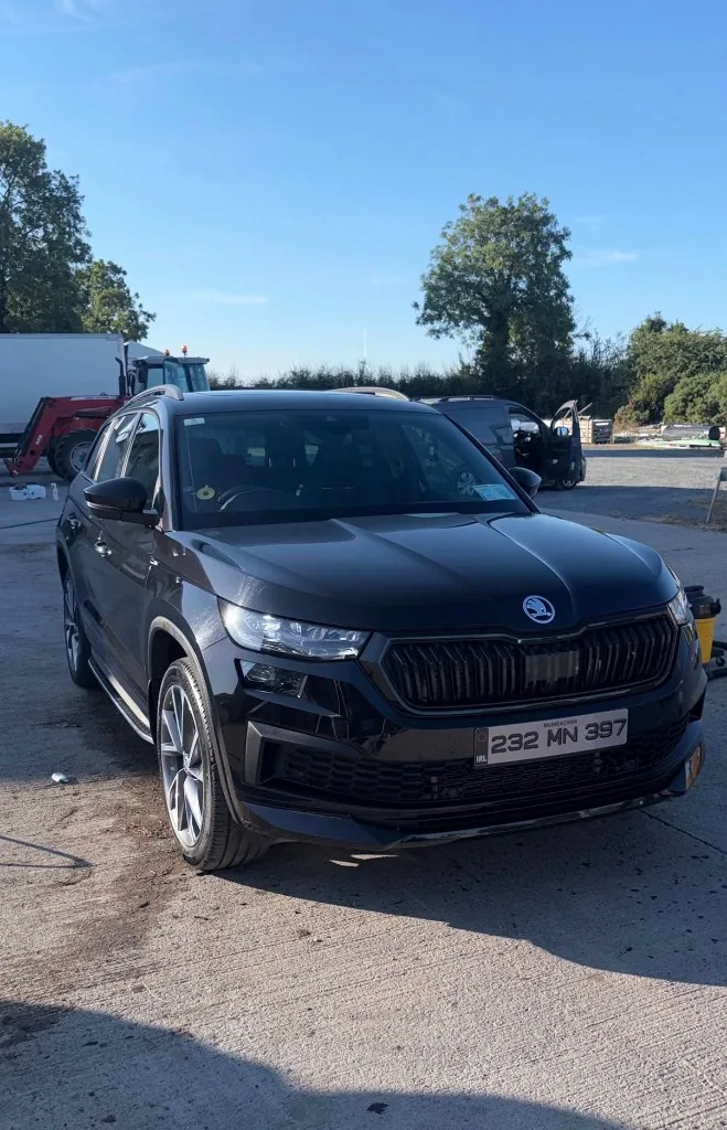 Black Skoda SUV after detailing