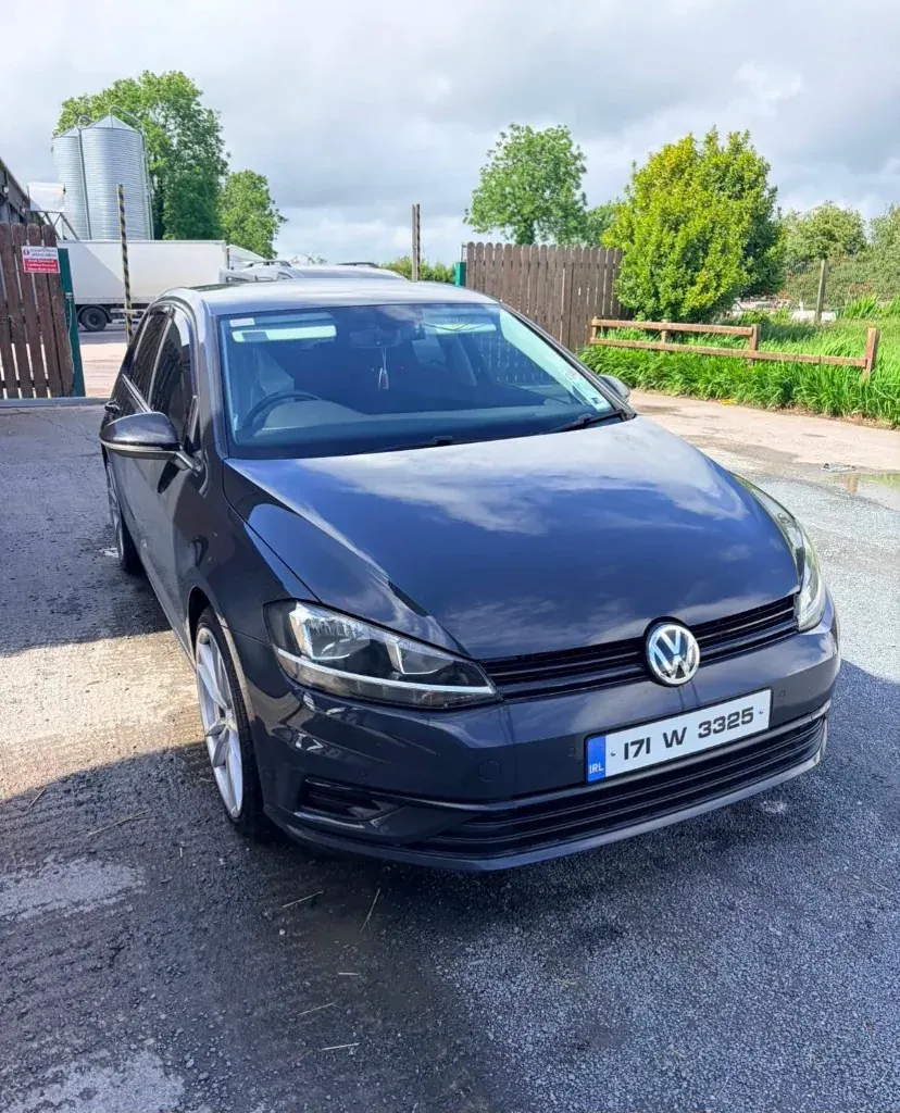Dark Volkswagen Golf after detailing